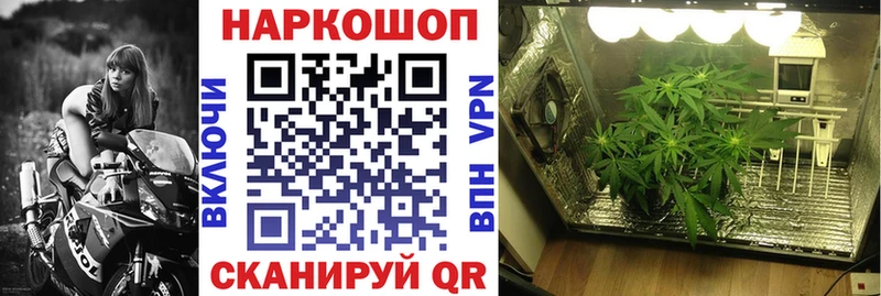 Где купить наркоту Щучье Амфетамин Кодеин Мефедрон kraken зеркало Конопля ГАШ Кокаин APVP