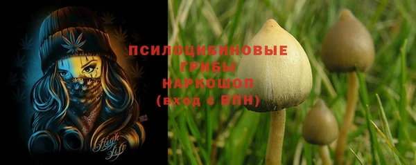 индика Нязепетровск