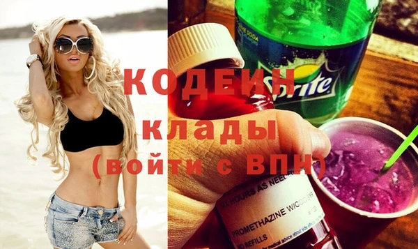индика Нязепетровск