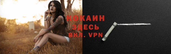 индика Нязепетровск