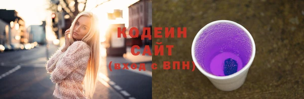 индика Нязепетровск