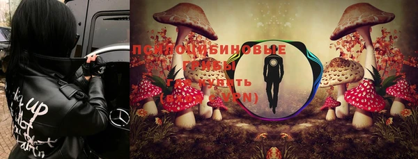 ALPHA-PVP Нягань